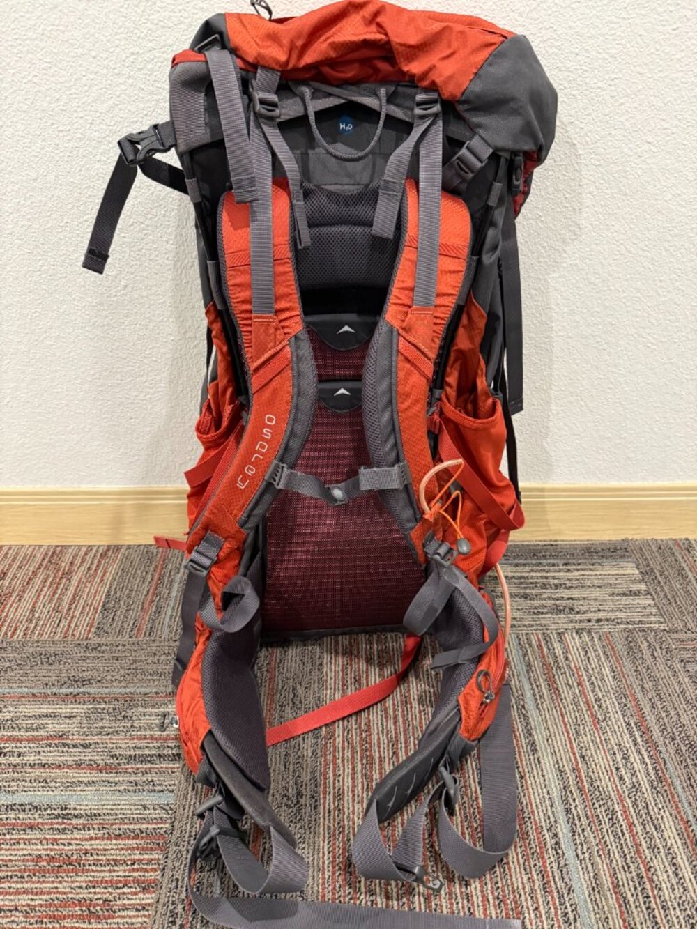 Osprey Volt 60 Hiking Backpack - Picture 6 of 7